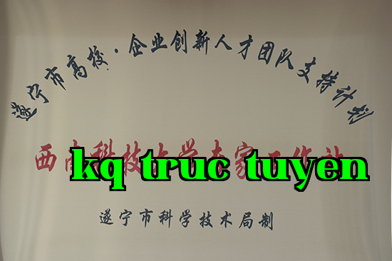 Trạm Làm việc chuyên gia của Đại học Tây Nam Khoa Học và Công Nghệ